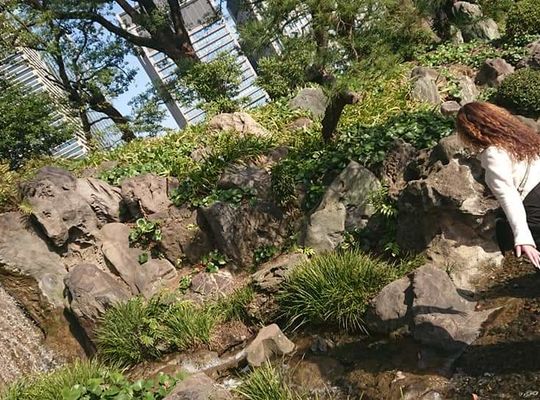 岩戸と人と木々