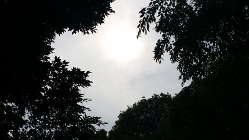 20170624_162721