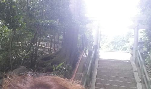 20170624_164056-1