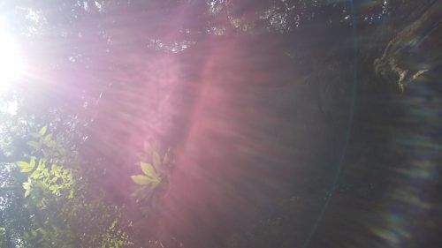 20170710_121351